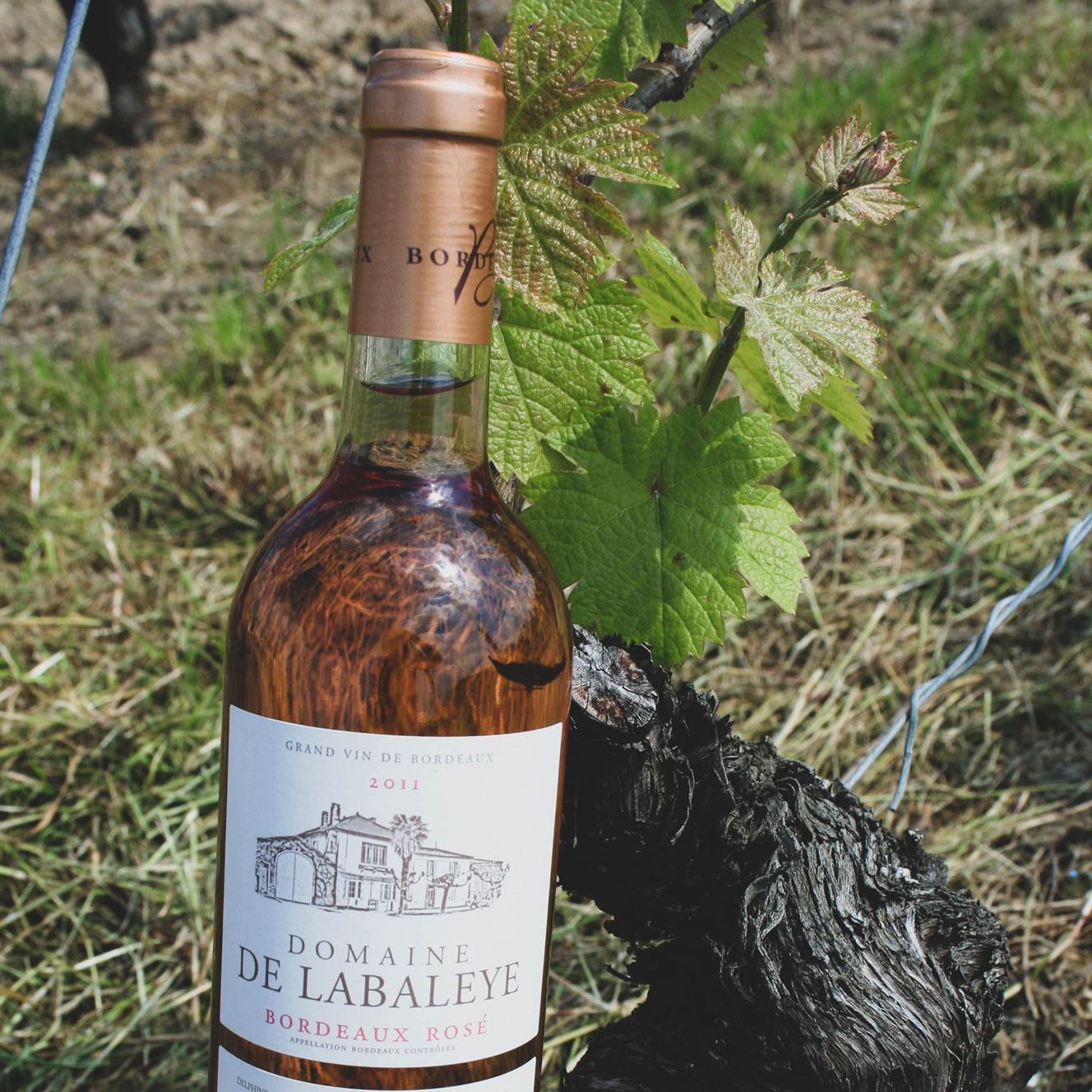 Vins rosé de Bordeaux, Domaine de Labaleye